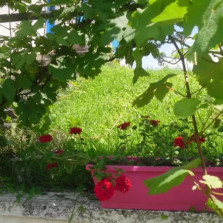 Ma Cambuse Pres Giverny Bed & Breakfast Limetz-Villez